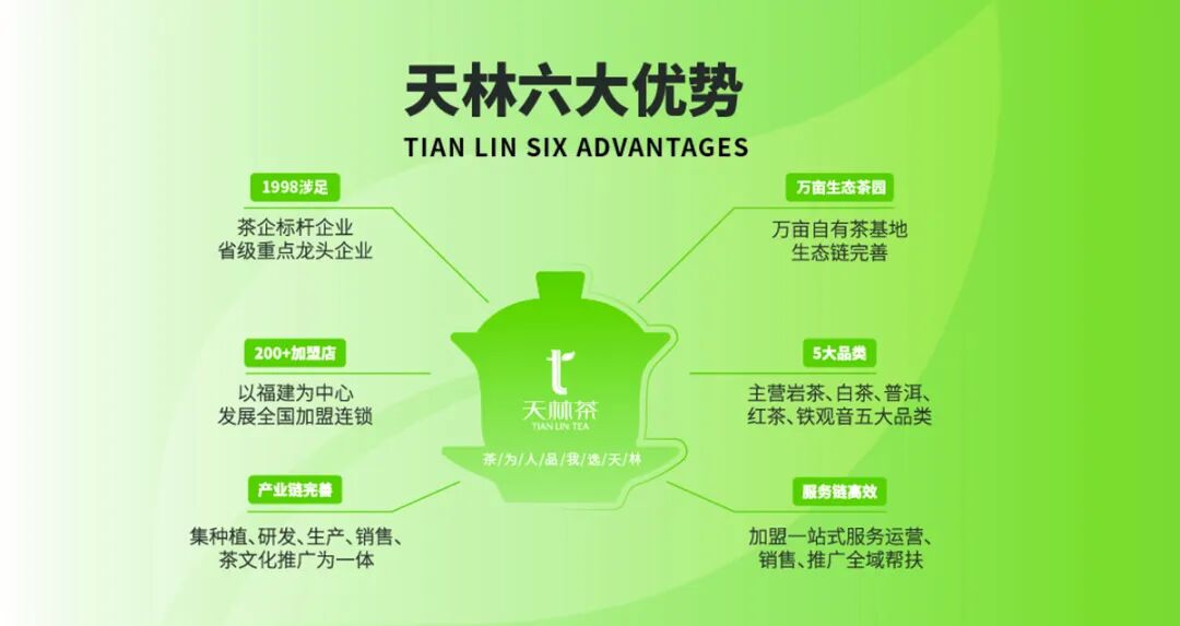 天林茶总部