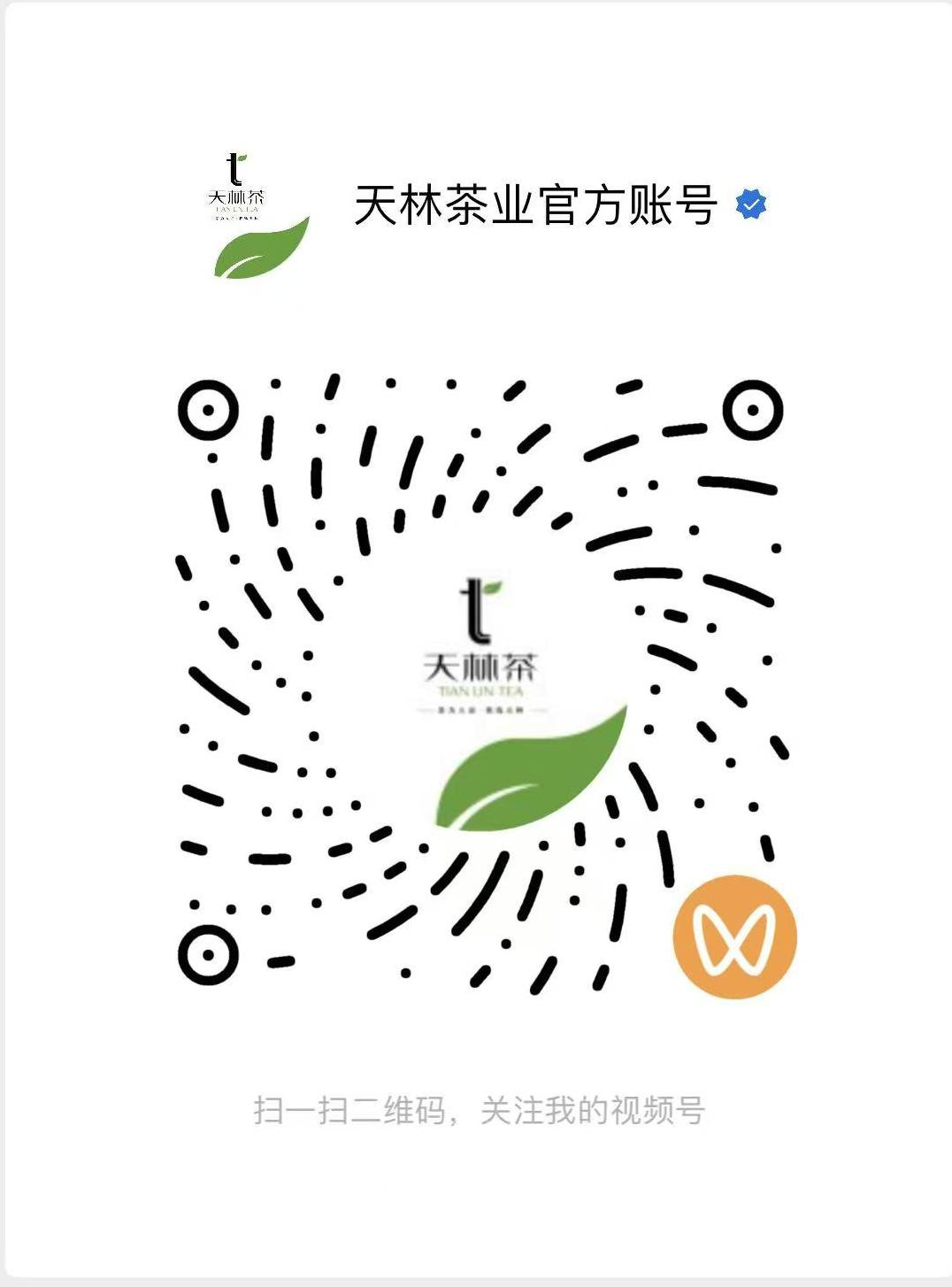 天林茶视频号二维码